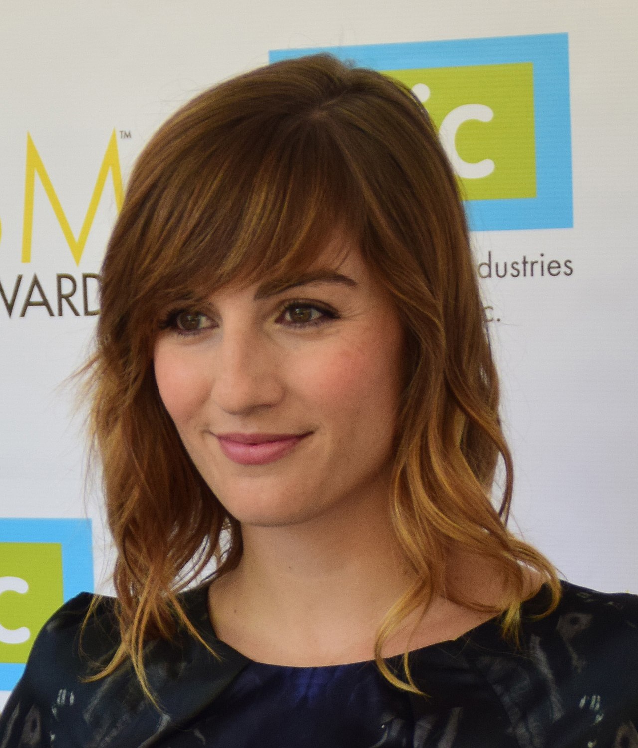 alison haislip net worth - Article 1